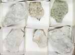 Mixed Indian Mineral & Crystal Flat - Pieces #95605-1